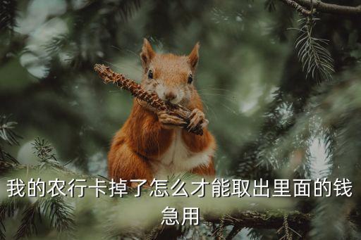 我的農(nóng)行卡掉了怎么才能取出里面的錢急用