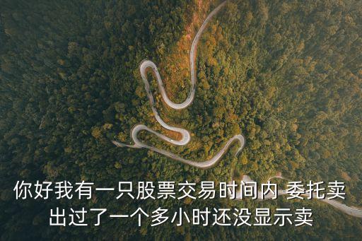 股票委托賣出怎么沒反應，為什么我的股票網(wǎng)上委托交易后交易卻沒有成功呢