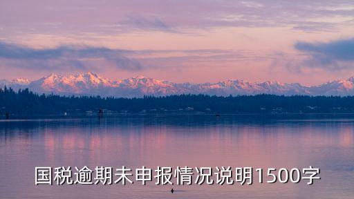 逾期申報說明書怎么寫，國稅逾期未申報情況說明1500字