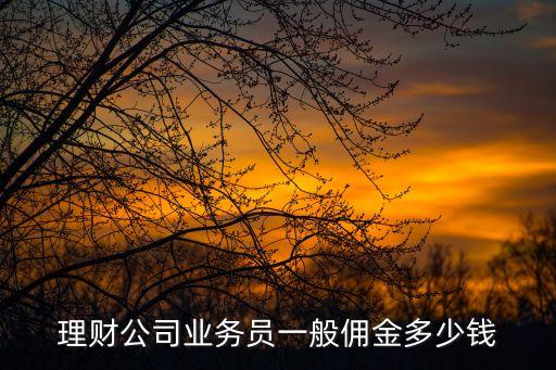 理財(cái)業(yè)務(wù)員提成怎么算，我想做P2P理財(cái)?shù)臉I(yè)務(wù)員請(qǐng)問這個(gè)行業(yè)的提成是多少