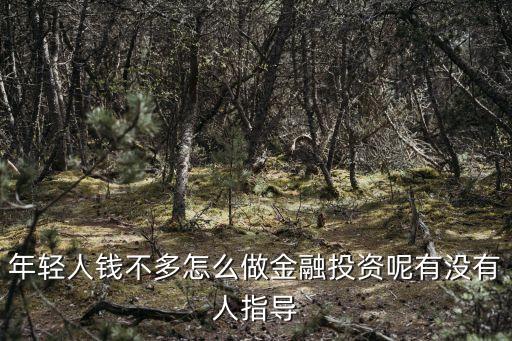 年輕人錢不多怎么做金融投資呢有沒有人指導(dǎo)