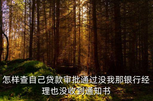 怎樣查自己貸款審批通過(guò)沒(méi)我那銀行經(jīng)理也沒(méi)收到通知書(shū)