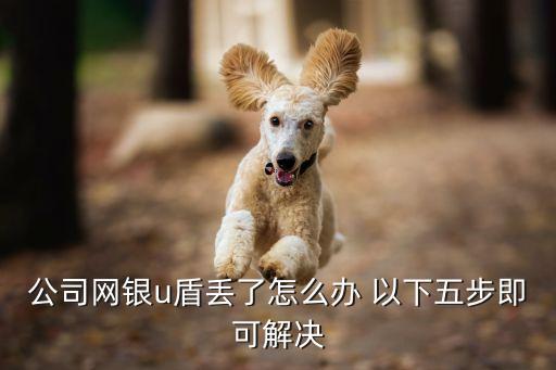 公司網(wǎng)銀u盾丟了怎么辦 以下五步即可解決