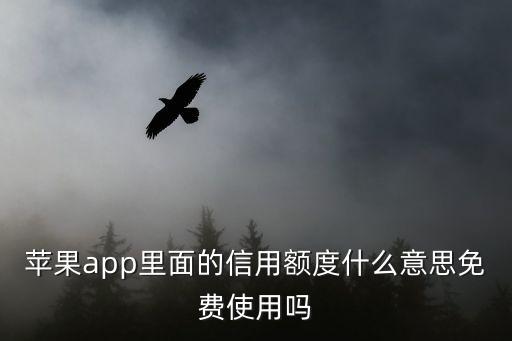 蘋(píng)果app里面的信用額度什么意思免費(fèi)使用嗎