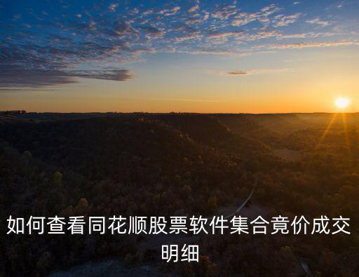 如何查看同花順股票軟件集合竟價(jià)成交明細(xì)