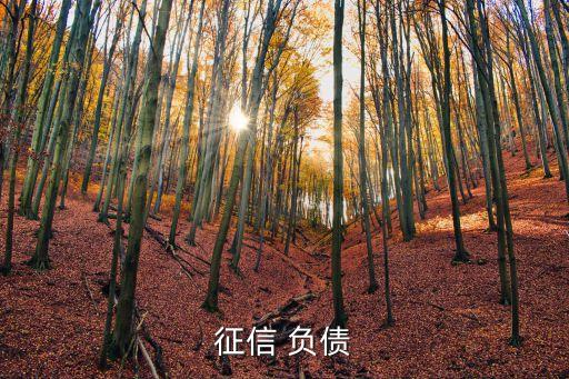 怎么降低征信負(fù)債，如何降低征信負(fù)債率