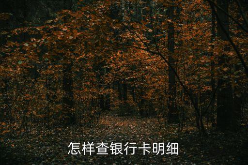 怎么查銀行賬戶明細(xì)查詢，怎樣查銀行卡明細(xì)