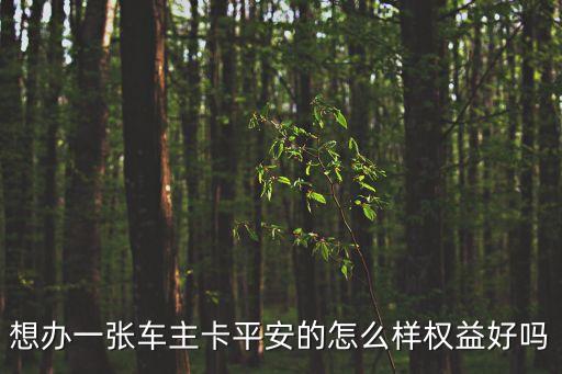 平安車主白金卡怎么樣，想辦一張車主卡平安的怎么樣權(quán)益好嗎