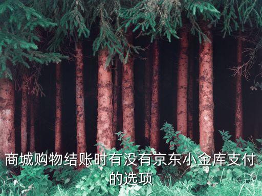 怎么用京東小金庫付款，商城購物結(jié)賬時有沒有京東小金庫支付的選項