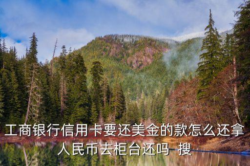 工商銀行信用卡要還美金的款怎么還拿人民幣去柜臺還嗎  搜