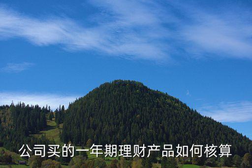 公司買的一年期理財產(chǎn)品如何核算