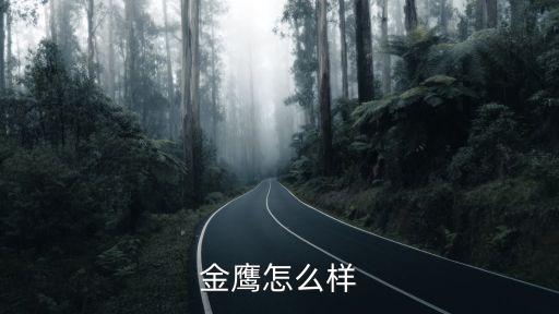 金鷹貨幣b怎么樣，戰(zhàn)爭雷霆里面的金鷹幣怎么賺感覺獅幣沒有用