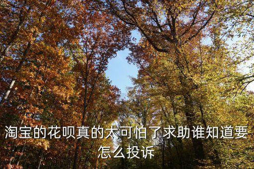 淘寶怎么舉報(bào)花唄套現(xiàn)，淘寶的花唄真的太可怕了求助誰知道要怎么投訴