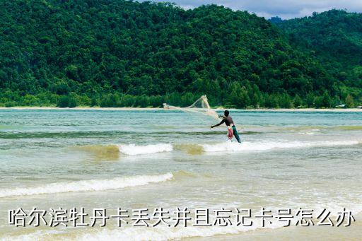 牡丹交通卡卡號(hào)怎么看，哈爾濱牡丹卡丟失并且忘記卡號(hào)怎么辦