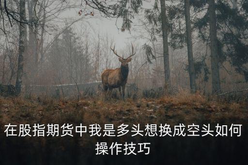在股指期貨中我是多頭想換成空頭如何操作技巧