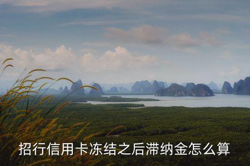 招行信用卡凍結(jié)之后滯納金怎么算
