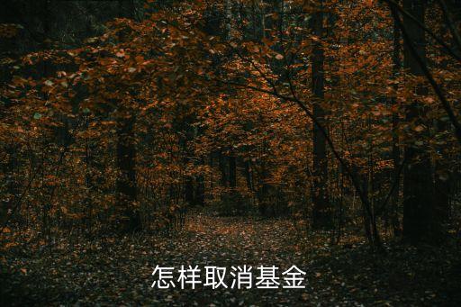 基金怎么退出，今天開了基金沒扣錢的不想弄了怎么退出