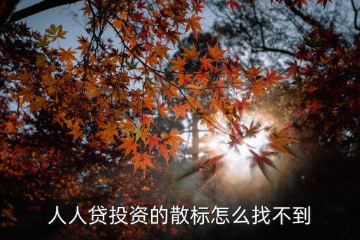 人人貸投資的散標怎么找不到