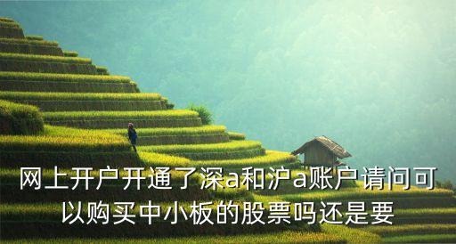 網(wǎng)上開(kāi)戶開(kāi)通了深a和滬a賬戶請(qǐng)問(wèn)可以購(gòu)買(mǎi)中小板的股票嗎還是要