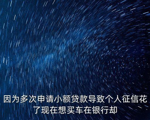 因?yàn)槎啻紊暾?qǐng)小額貸款導(dǎo)致個(gè)人征信花了現(xiàn)在想買車在銀行卻