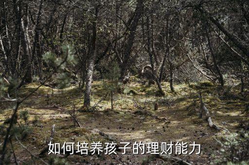 怎么培養(yǎng)孩子的理財(cái)，如何培養(yǎng)孩子的理財(cái)能力