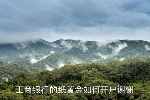 工商銀行的紙黃金如何開(kāi)戶謝謝