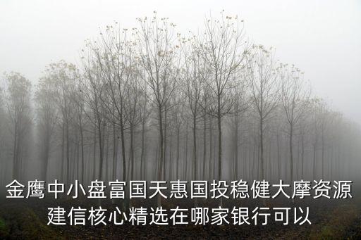 金鷹中小盤富國(guó)天惠國(guó)投穩(wěn)健大摩資源建信核心精選在哪家銀行可以