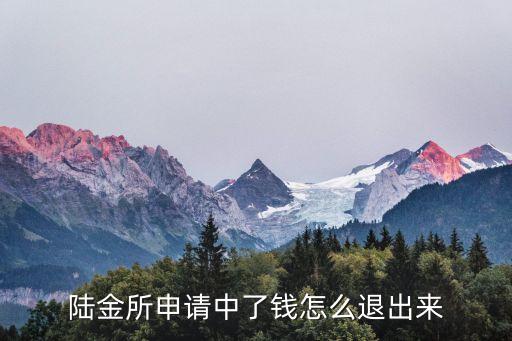 陸金所委托中金額怎么，陸金所驗證金額是多少