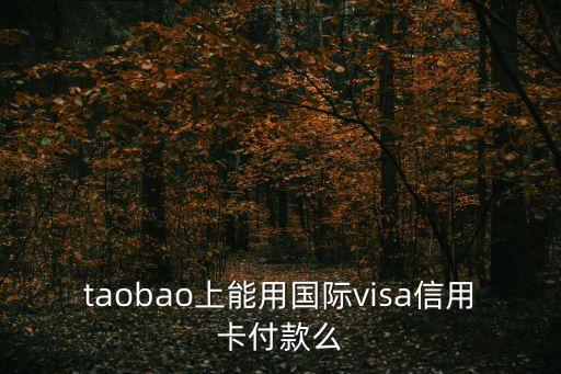 taobao上能用國際visa信用卡付款么