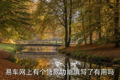 易車網(wǎng)上有個(gè)貸款功能填寫了有用嗎
