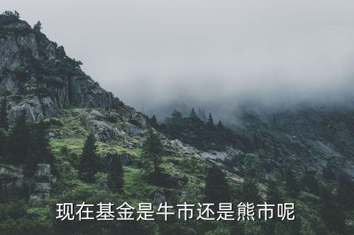 現(xiàn)在基金是牛市還是熊市呢