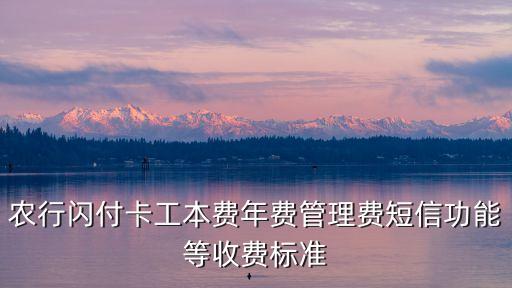 閃付卡怎么收費(fèi)標(biāo)準(zhǔn)，中國農(nóng)行閃付卡借記年費(fèi)多少