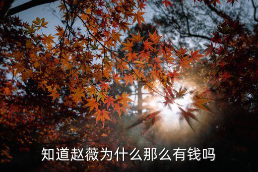 知道趙薇為什么那么有錢嗎