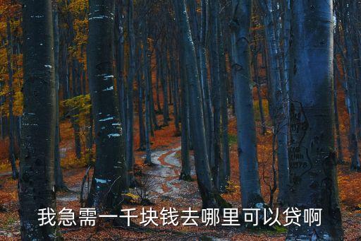 我急需一千塊錢去哪里可以貸啊