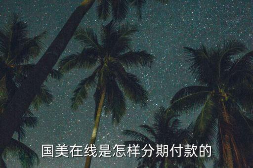 國美網(wǎng)上怎么分期付款，國美在線是怎樣分期付款的