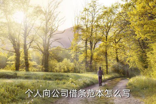 個人向公司借錢借條怎么寫，跟公司借錢的借條應(yīng)該怎么寫