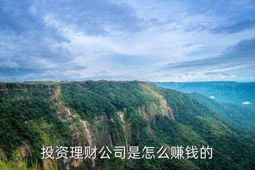 投資理財(cái)公司是怎么賺錢的
