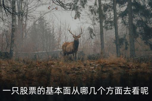股票怎么看基本面，如何看一只股票的基本面