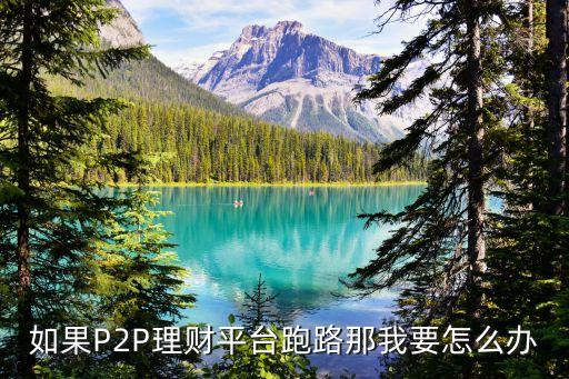 P2p理財平臺跑路怎么辦鯨魚寶，在p2p平臺理財平臺跑路怎么辦
