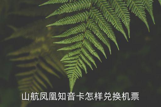 鳳凰知音卡積分怎么用，在機(jī)場辦理的知音卡怎么用