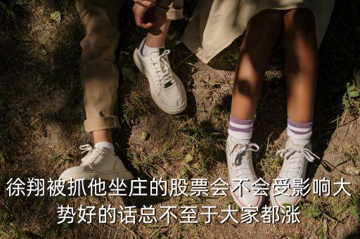 徐翔被抓他坐莊的股票會(huì)不會(huì)受影響大勢(shì)好的話總不至于大家都漲