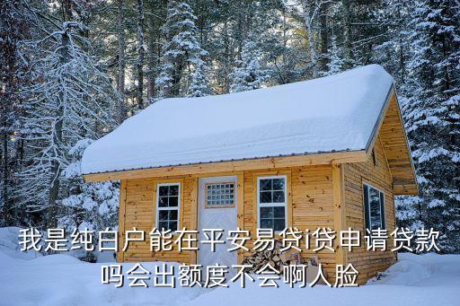 平安易貸立即申請(qǐng)灰色怎么破解，平安易貸APP 綁定完銀行卡 就一直提示 申請(qǐng)中 等最下面4個(gè)大字 繼續(xù)