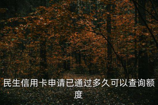 怎么看信用卡申請(qǐng)額度多少時(shí)間，民生信用卡申請(qǐng)已通過(guò)多久可以查詢額度