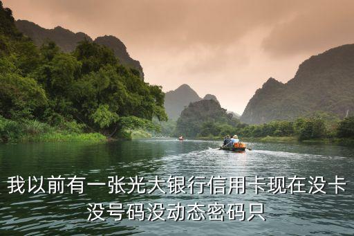 我以前有一張光大銀行信用卡現(xiàn)在沒卡沒號(hào)碼沒動(dòng)態(tài)密碼只