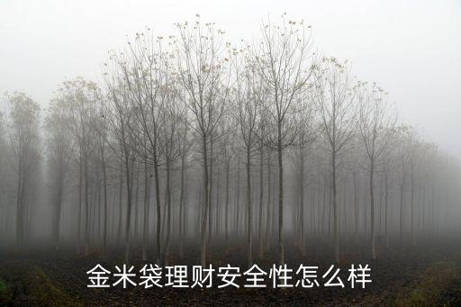金米袋怎么樣，金米袋理財怎么樣安全嗎