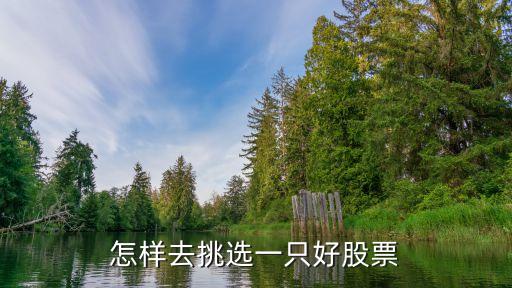 怎樣去挑選一只好股票