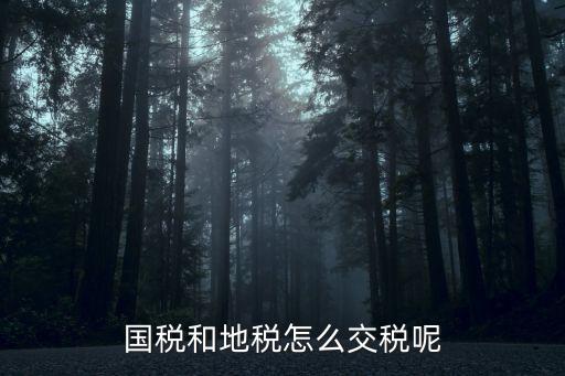中國怎么納稅，稅收問題中國的個人如何征稅企業(yè)如何征稅