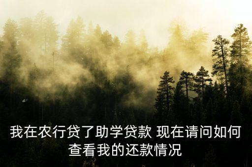 怎么查助學貸款是否還清，怎么查詢生源地助學貸款還款成功