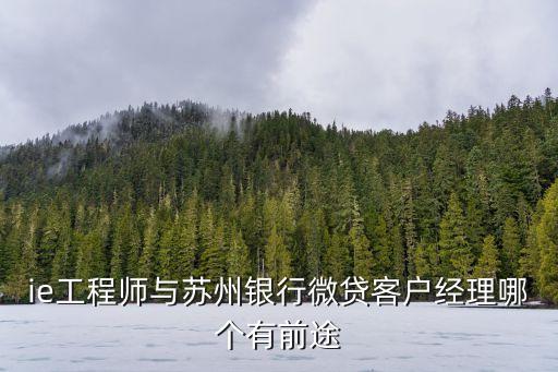 微貸工場怎么樣，微貸網(wǎng)這個(gè)公司怎么樣