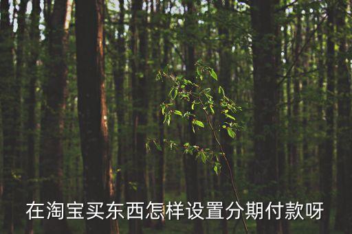 淘寶商家怎么開通分期，在淘寶買東西怎樣設(shè)置分期付款呀